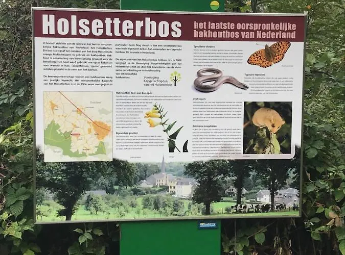 Oda ve Kahvaltı Holset70